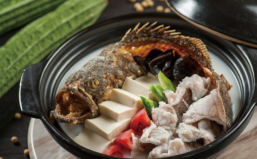 Dragon Fan Fish